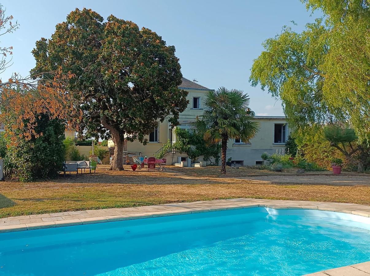 Le Magnolia, Chambre D'Hote Au Calme Saumur Luaran gambar